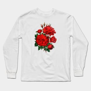 Red Roses Illustration Long Sleeve T-Shirt